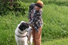 Bild7