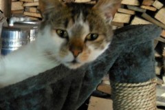 Bild9