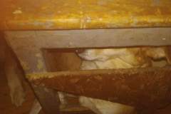 IMG-20220629-WA0010