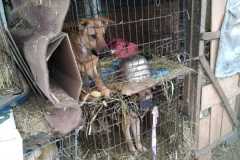 IMG-20220629-WA0014